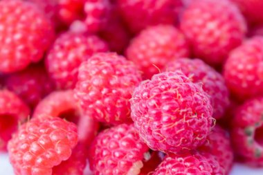 Ahududu meyvesi, olgun, yeşil yapraklı bir dalda kırmızı, yaz günü bahçede ya da ormanda. Sulu ahududuların arka planı.