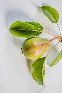 Güzel doğal armutlar bir armut ağacı, dallar ve yapraklar üzerinde ağırdır. Sağlıklı organik armutlar. Doğanın sulu armutlu armutları. Bir dalda armut.