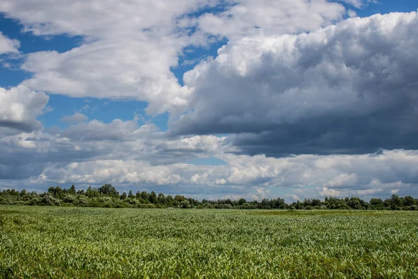 Kırsal bir bölgenin yüksek çözünürlüklü fotoğrafı.