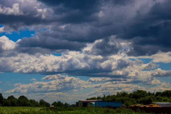 Hoge Resolutie Foto Van Een Landelijk Landschap — Stockfoto