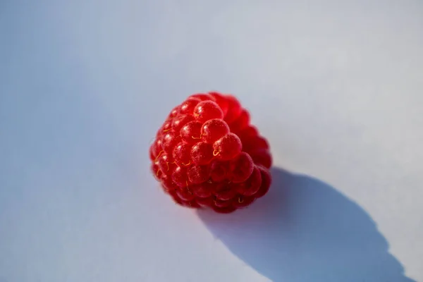 Framboises Mûres Rouges Sur Une Branche Aux Feuilles Vertes Jour — Photo