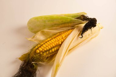 Mısır tuval üzerinde yatar. Yeni bir mahsul. Taze mısır yakın plan. Tabakta mısır koçanı. Yiyecek malzemeleri ve yemek konsepti için arka planda tatlı mısır.
