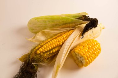 Mısır tuval üzerinde yatar. Yeni bir mahsul. Taze mısır yakın plan. Tabakta mısır koçanı. Yiyecek malzemeleri ve yemek konsepti için arka planda tatlı mısır.