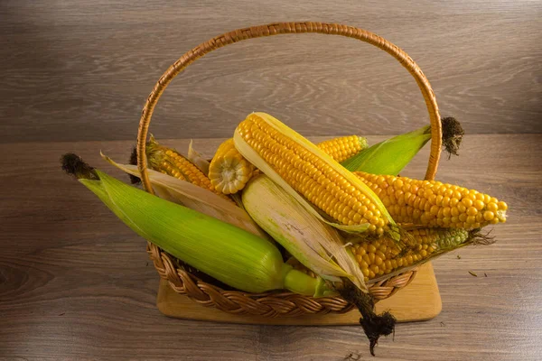 Corn Lies Canvas New Crop Fresh Corn Closeup Corn Cob — Stock Photo, Image