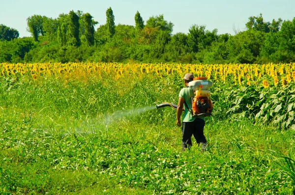 Tarım işi, baharda insanların tarlaları ilaçlaması.