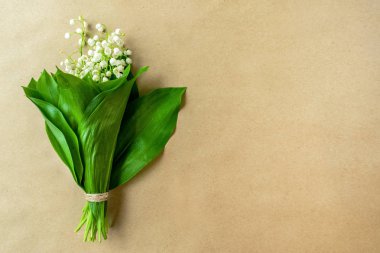 parlak zanaat arka plan üzerinde vadinin zambaklar