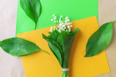 lily üst görünümü renkli kompozisyon