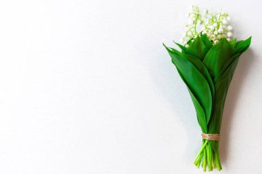 Beyaz arka planda vadi zambakları