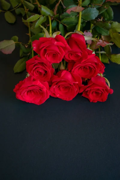 어두운 배경에 붉은 장미 꽃다발 — 스톡 사진
