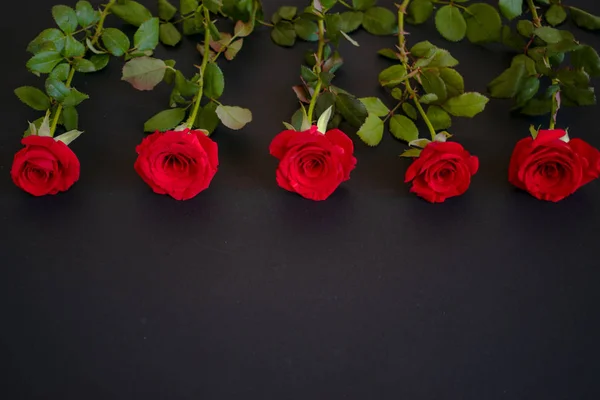 어두운 배경에 테이블에 행에 배치 빨간 장미 — 스톡 사진
