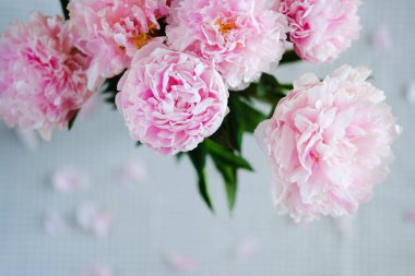 pembe çiçekler gri bir peçete üzerinde masaya yalan