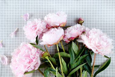 çok güzel narin pembe şakayık masada