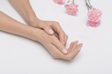 Manikür. Pembe çiçekli Beyaz arka plan üzerinde güzel ve narin eller.