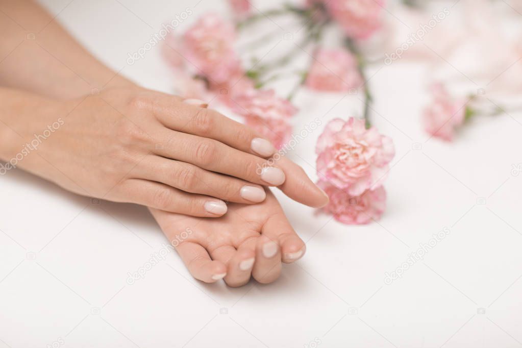 Manicure. Beautiful and delicate hands on white background with pink flowers.