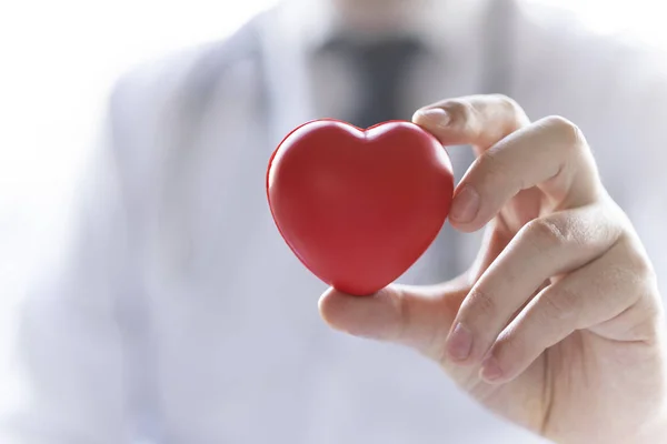 The doctor is holding a heart in the hands. Heart is a life!