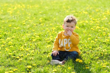 Küçük sevimli bebek çocuk ortak domuz devedikeni dolu çayırda oynuyor - sarı çiçekler.