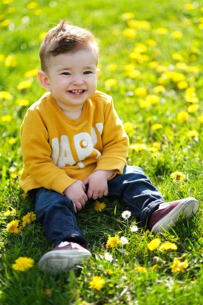 Little Cute Baby Boy Grając Łące Pełnej Wspólnej Siać Oset — Zdjęcie stockowe