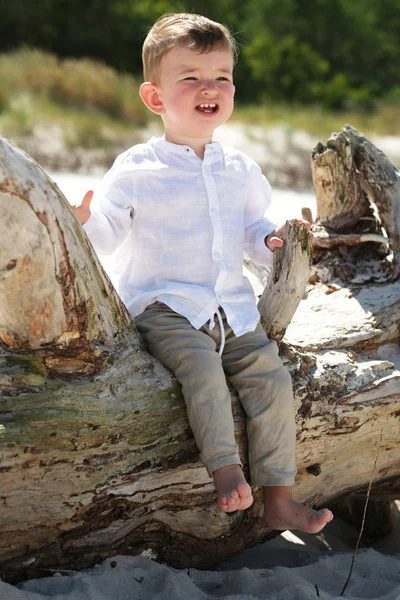 Mały Chłopiec Nadmorskiej Scenerii Siedzi Drewnie — Zdjęcie stockowe