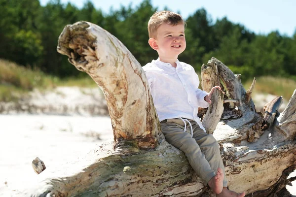 Little boy in the seaside scenery is sitting on the wood.
