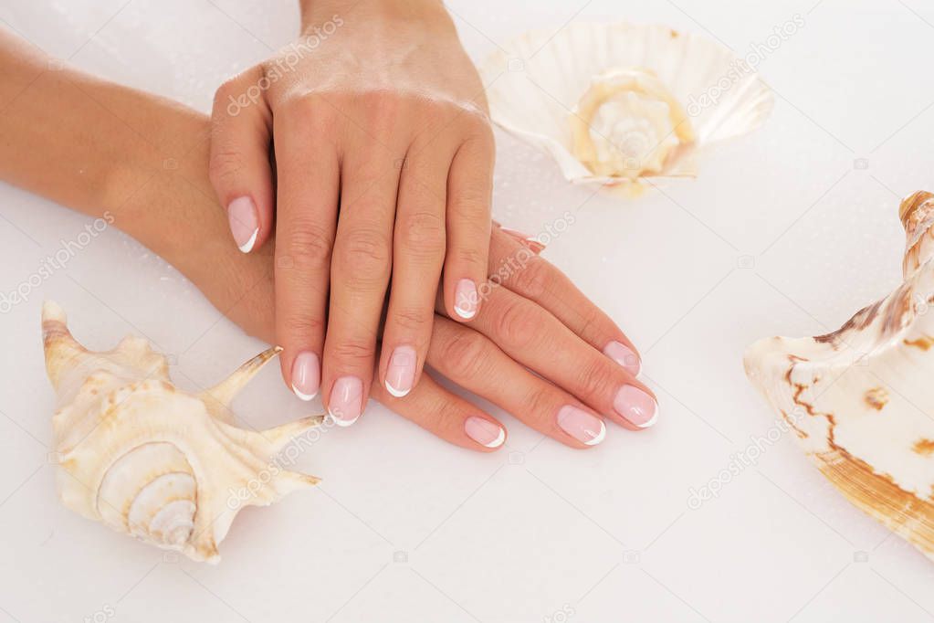 Beautiful female hands on studio shooting isolated on white background and surrounded by seashell.