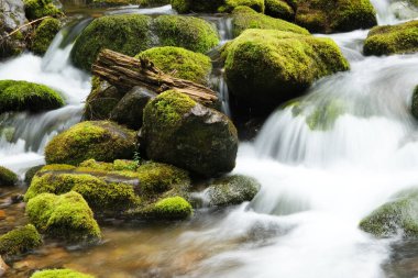 Güzel cila akıntısının resmi.