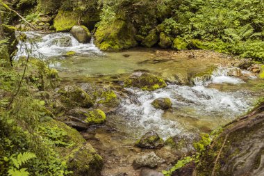Güzel cila akıntısının resmi.