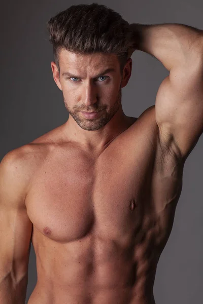 Portrait Muscular Handsome Model — Stock Photo, Image