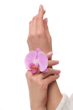 Mükemmel manikürlü, narin kadın ellerinin stüdyo çekimi.