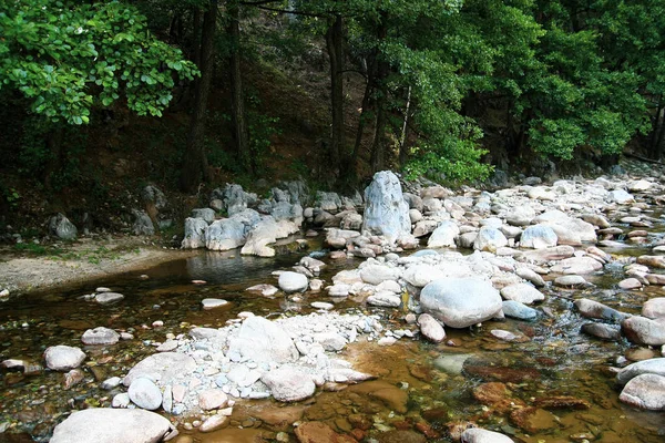 Stones near a river and a forest in a summer day with green trees and clear water background