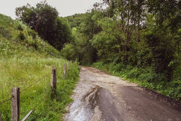 Route Campagne Dans Forêt Dans Une Journée Été — Photo