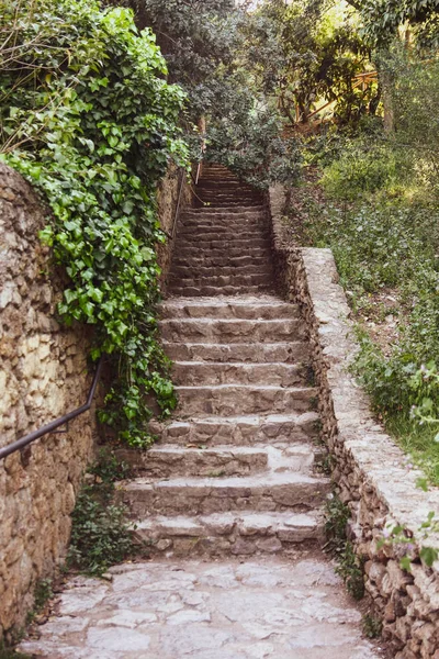 Beautiful Stone Stairs Park — Stock Photo, Image
