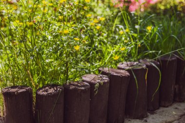 Yeşil çim ile güzel bir yaz gününde bir parkta bir yürüyüş