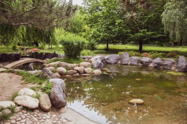 Yaz aylarında bir parkta güzel görünüm 