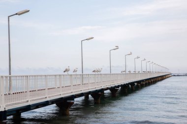 Açık su ve mavi gökyüzü ile denizde huzurlu bir yaz günü martılar ile bir iskelenin güzel görünümü