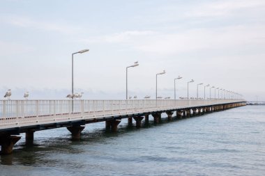 Açık su ve mavi gökyüzü ile denizde huzurlu bir yaz günü martılar ile bir iskelenin güzel görünümü