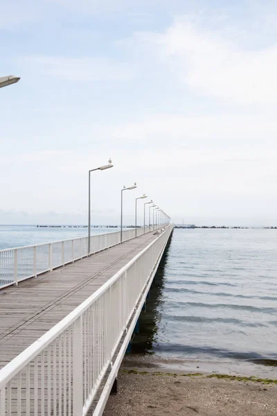 Schöne Aussicht Auf Eine Seebrücke Mit Möwen Einem Ruhigen Sommertag — Stockfoto