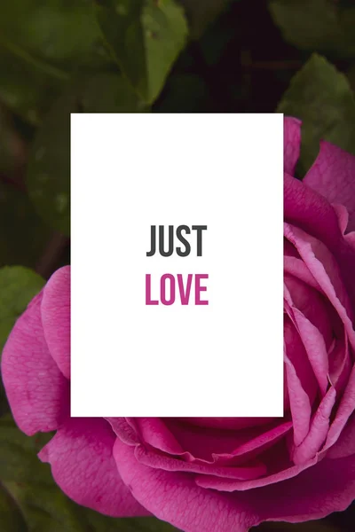 Floral motivational poster with inspirational quote of the day - Just love