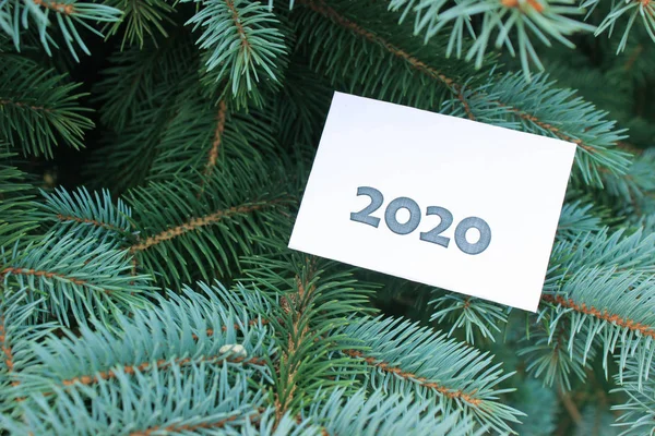 Köknar dallarının arka planında beyaz bir kağıt üzerine 2020 yazımı