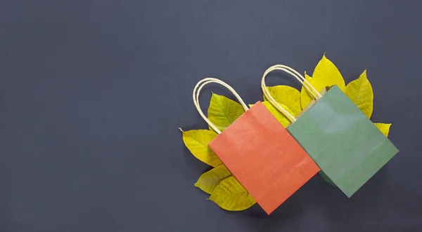 Bannière pour la publicité vente d'automne, vendredi noir, sacs en papier dans le coin inférieur droit sur les feuilles jaunes, composition d'automne — Photo