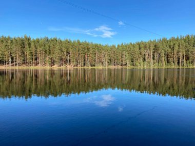     Çam ormanında güzel bir göl