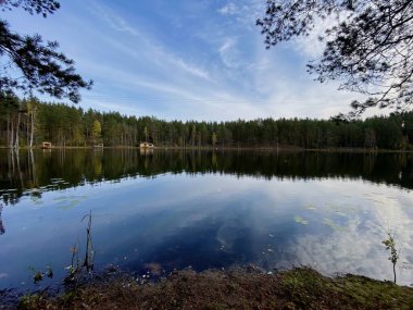 Ormandaki güzel göl