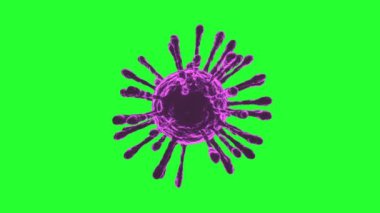 COVID-19 Coronavirus hücre moru dönüşümlü. Kusursuz döngü. Yeşil Ekran 4K UHD. 3d oluşturma. 