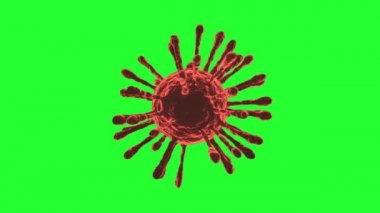 COVID-19 Coronavirus hücre kırmızısı dönüyor. Kusursuz döngü. Yeşil Ekran 4K UHD. 3d oluşturma. 