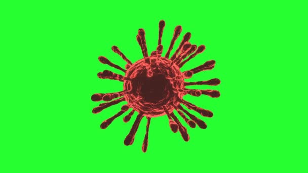 Covid Cellule Coronavirus Rouge Tournant Boucle Sans Couture Écran Vert — Video