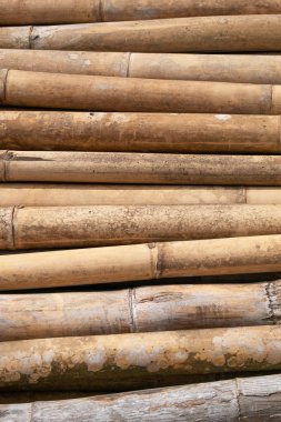 kahverengi bambu kazık inşaat malzemeleri için hazırlamak