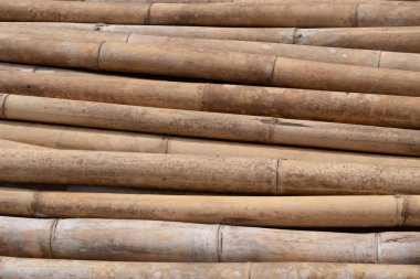 kahverengi bambu kazık inşaat malzemeleri için hazırlamak