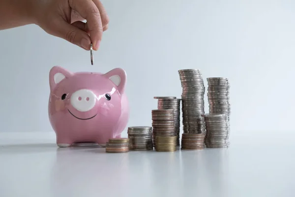 Hand sätta mynt i Pink Piggy med mynt högen, intensifiera växande företag till framgång och sparande för pensionering Concept — Stockfoto