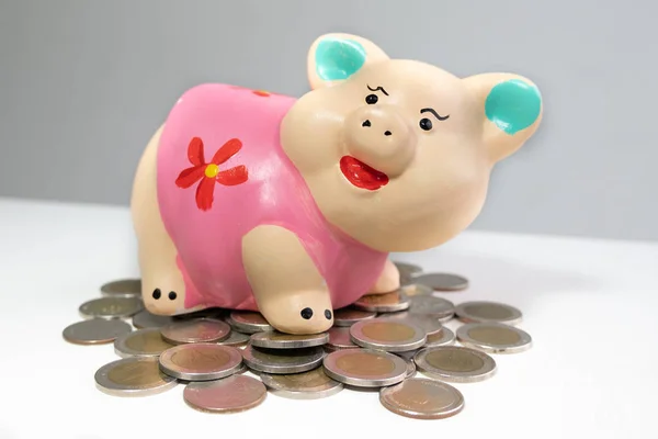 Roze Piggy Bank bespaart geld en munten stapel — Stockfoto