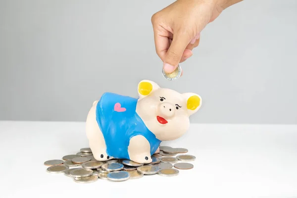 hand putting coin into Blue piggy bank saving money with coins p