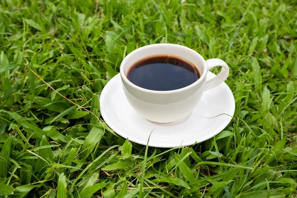 Yeşil çim ente bir fincan siyah kahve